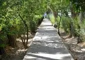 ساماندهی اسکان کارگران غرب منطقه یک

