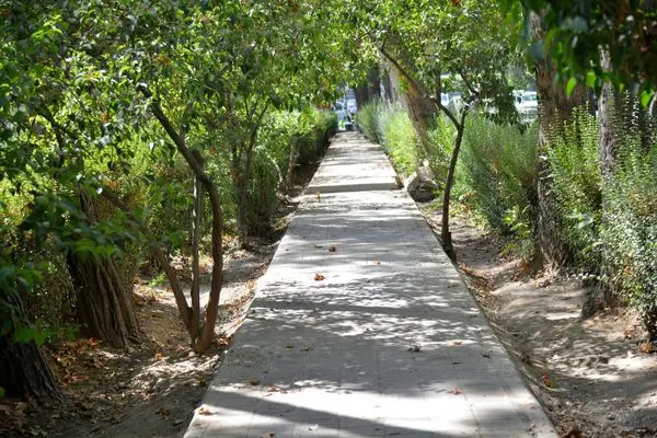 ایمن سازی تردد در ۳۲هزار مترمربع از پیاده رو های منطقه یک
