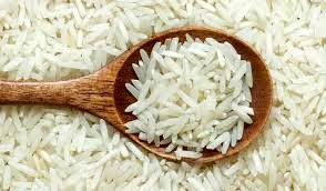 نیازی به واردات برنج نداریم

