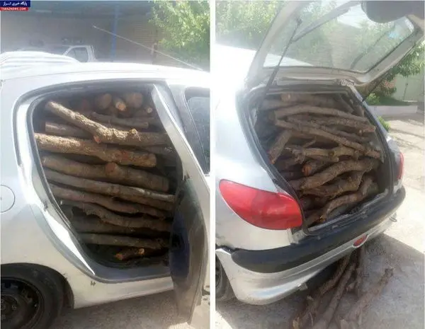 قاچاق چوب با خودروهای حامل گوشت و لبنیات در مازندران
