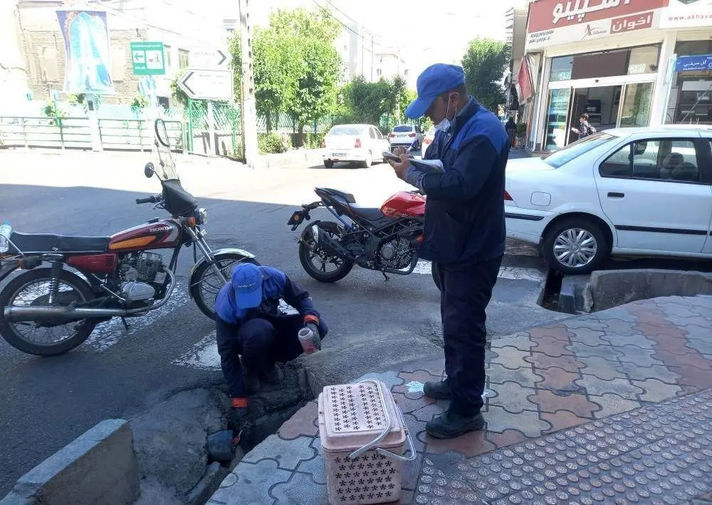 طرح نگهداشت مبارزه با جوندگان مضر شهری منطقه ۱۴