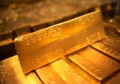 سیاه‌ترین میوه دنیا +عکس