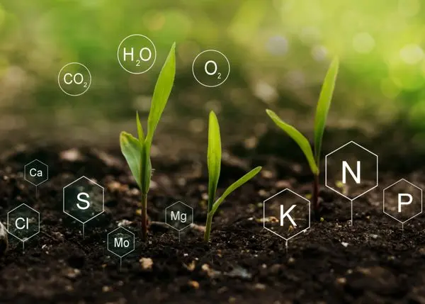 چگونه کود کامل، کمبود عناصر غذایی را جبران میکند؟