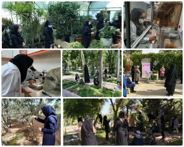  کلینیک گل و گیاه منطقه 15 پیشتاز در آموزش و انجام تحقیقات علمی