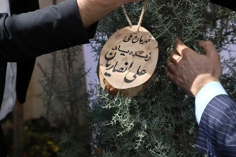 غرس نهال به یاد قهرمان ملی، علی انصاریان

