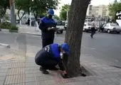 مدیران شهری منطقه  از محل برگزاری سی و سومین نمایشگاه بین المللی کتاب تهران بازدید کردند