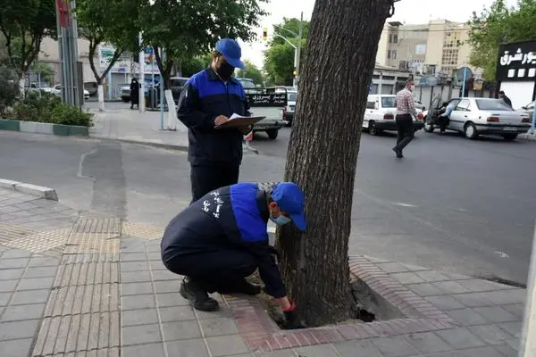  نگهداشت محله ها با کیفیت و تلاش مضاعف تداوم دارد 