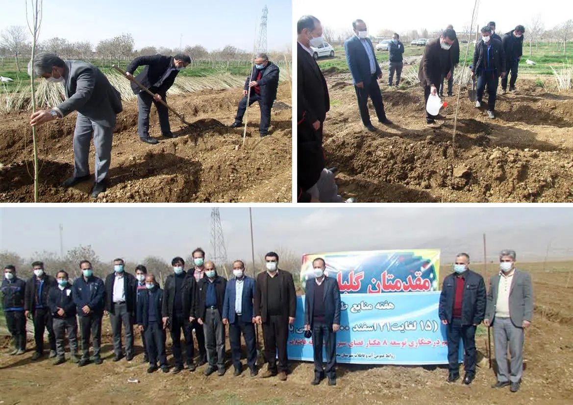 کاشت 5800 اصله نهال در تصفیه خانه فاضلاب شهر محلات

