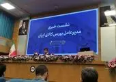 افزایش ۵۴ درصدی سرمایهگذاری خارجی در مناطق آزاد