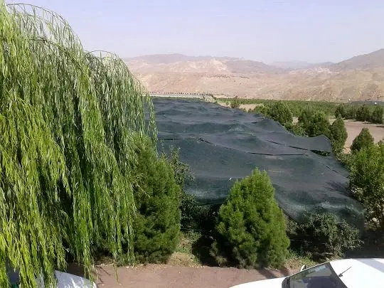 طرح سایبان باغ‌ها در ۵۴ هکتار از اراضی استان مرکزی اجرا شد