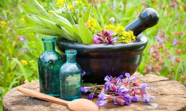 عرقیات برای کبد چرب