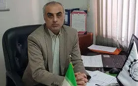 واردات میلیاردی گوشت قرمز، راهحل یا مانع تولید داخلی؟