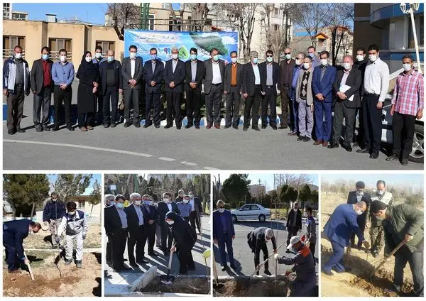 کاشت 6500 اصله درخت توسط شرکت آب و فاضلاب استان مرکزی

