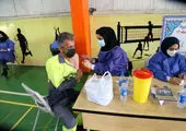حمایت شهرداری منطقه ۱۵ از کسب و کارهای نوپا و محلی