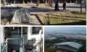 تکمیل زنجیره سرمایش صادراتی-داخلی پگاه در مرکز ایران