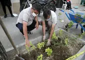 زیباسازی و بهسازی محیطی محله بهبودی آغاز شد