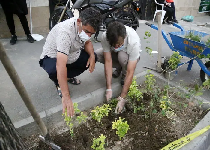 با مشارکت شهروندان محله های مرکزی شهر تهران کاشت و نگهداشت مشارکتی گل و گیاه آغاز شد

