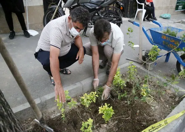 با مشارکت شهروندان محله های مرکزی شهر تهران کاشت و نگهداشت مشارکتی گل و گیاه آغاز شد