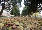 بررسی لایحه بودجه در کمیسیون ویژه حمایت از تولید ملی