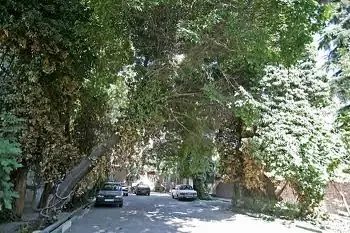 طرح محله سبزدر منطقه2 اجرا می شود

