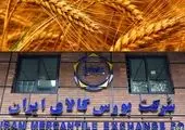 بورسی شدن گندم به نفع کشاورزان است
