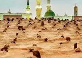 مرور تاریخچه ظلم یهودیان در تصرف فلسطین