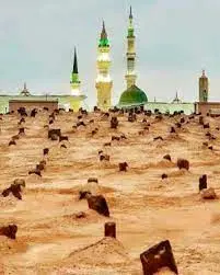 مستند « بهشت ماندنی است»