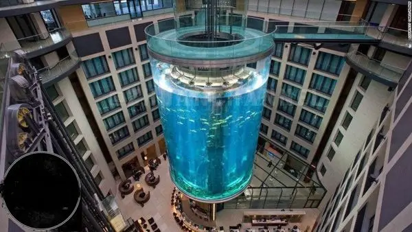 آسانسوری جذاب در آکواریوم شیشه‌ای+عکس