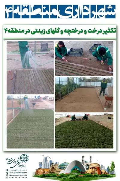 تکثیر درخت و درختچه و گلهای زینتی در تولیدات گل و گیاه منطقه ۴