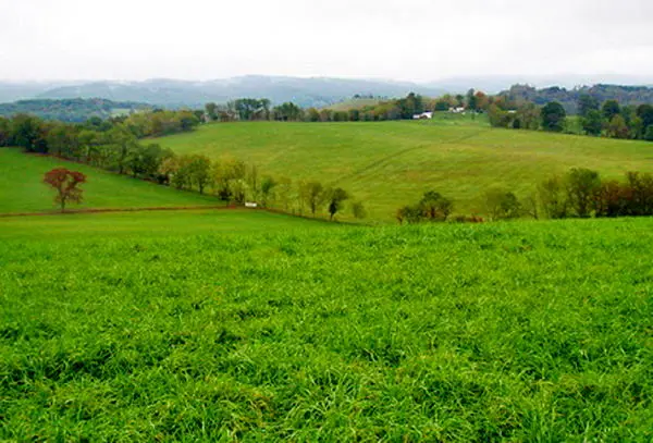 سطح مراتع کشور چقدر است؟