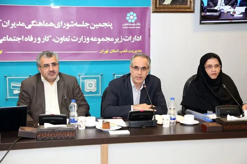 مشارکت بانک توسعه تعاون برای ایجاد 105 هزار فرصت شغلی