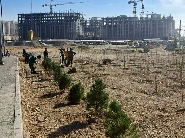 احداث ۸ هزار متر مربع فضای سبز جدید در منطقه۲۲