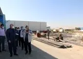 داوران بخش فیلمنامه نخستین دوره جشنواره فیلم، فیلمنامه و عکس «لاو» معرفی شدند

