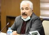 یارانه گاز را عملا به عراقی‌ها و افغانی‌ها می‌دهیم