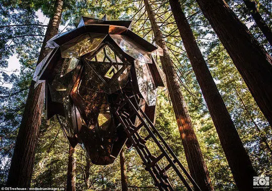 خانه درختی الماسی در کالیفرنیا +عکس