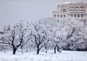 ورود سامانه بارشی به کشور طی جمعه

