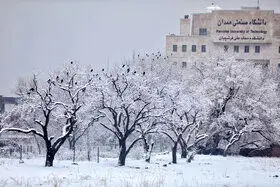 برف و باران در کشور