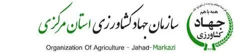 برداشت چغندرقند دراستان مرکزی آغاز شد. 