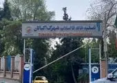 بوستان جنگلی سرخه‌حصار به ۴۵ دوربین مداربسته مجهز شد

