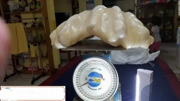 بزرگترین مروارید دنیا+عکس