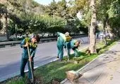 ارتقای سبزینگی در بیش از 5 هزار متر مربع از فضای سبز منطقه 19

