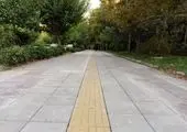 بهسازی و ساماندهی بیش از1هزار متر طول معابر منطقه14 