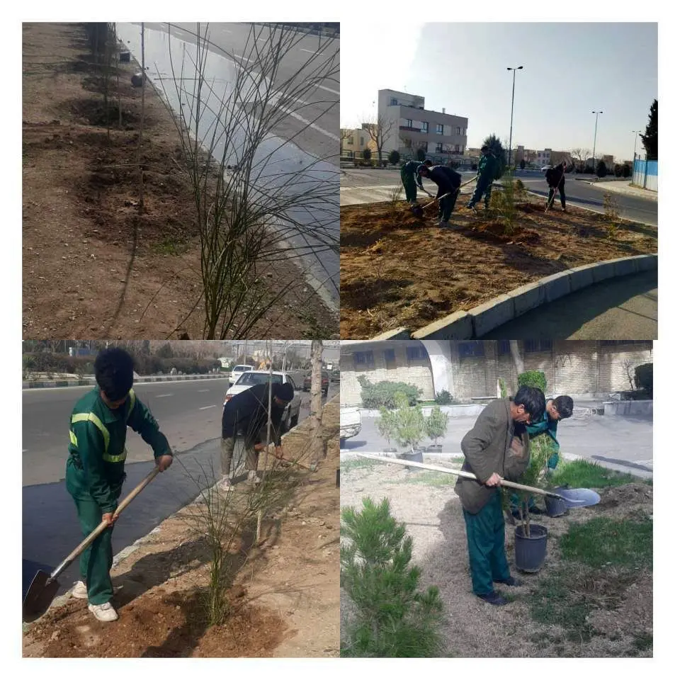 کاشت نهال امیدی برای زندگی آیندگان
