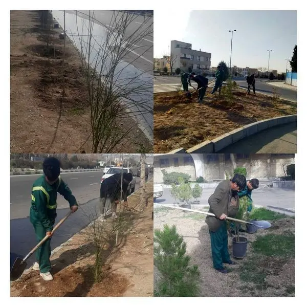 کاشت نهال امیدی برای زندگی آیندگان