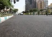 بیش از دویست و پنجاه مورد زوائد محور شهید آیت و دردشت جمع‌آوری شد