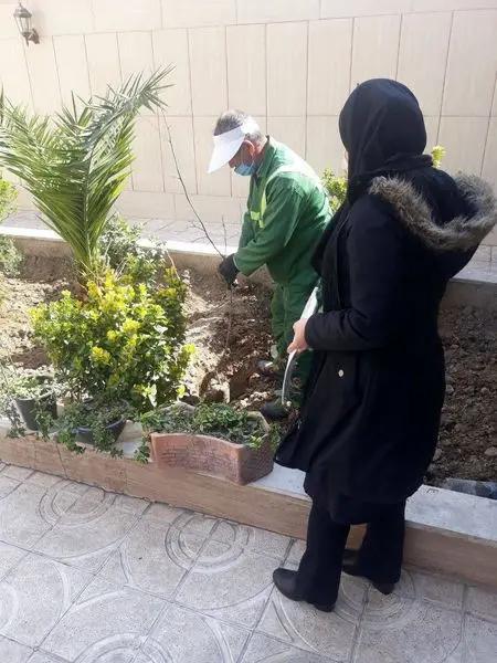 آغاز طرح فراگیرکاشت نهال رایگان در باغچه منازل شهروندان منطقه 19

