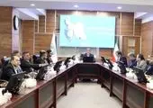 شبکه نمایندگی، شریک راهبردی بیمه ایران در مسیر توسعه