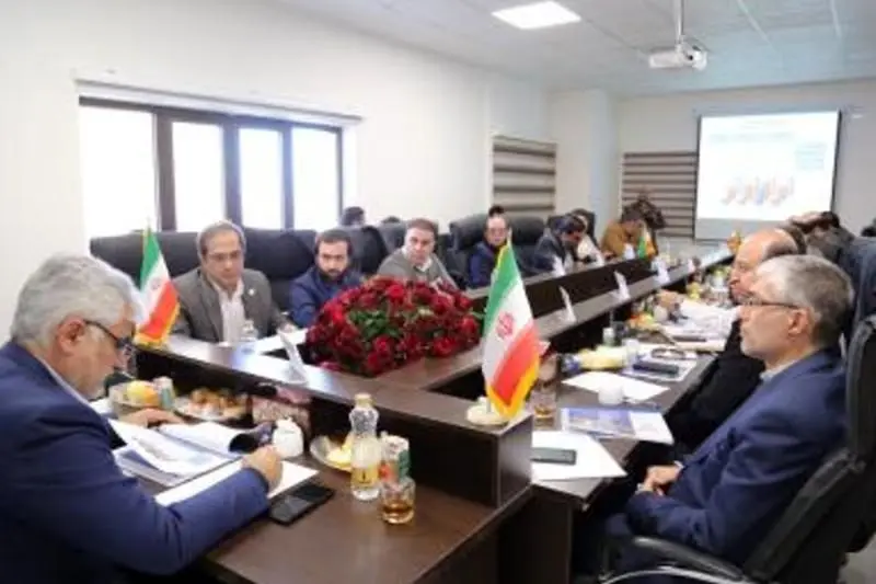 لزوم توسعه پتروشیمی نگین سنقر مطابق زمان‌بندی طرح

