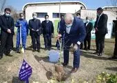 پیام دکتر مهرافزا منوچهری به مناسبت روزجهانی محیط زیست