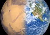 تائید حضور لیلا حاتمی در فیلم کارگردان آمریکایی